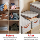 Collapsible Fabric Clothing Storage Box with Hinged Lid