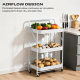 Multipurpose Foldable Storage Trolley with Handle